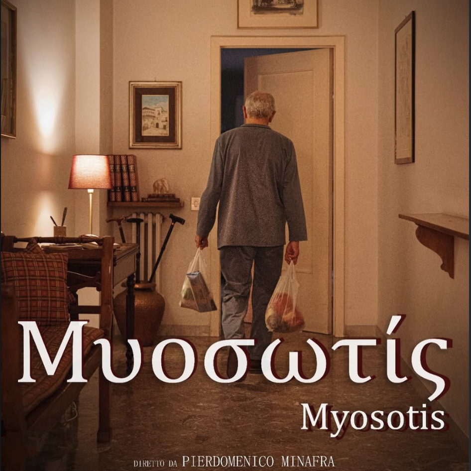 Myosotys